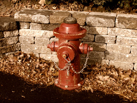 Fire hydrant and fallen leaves.
