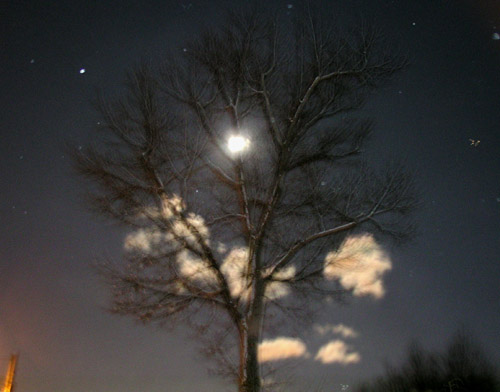 Tree, moon, clouds.