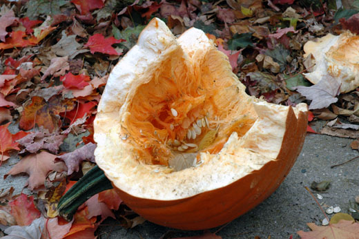 Pumpkin half on the sidewalk.