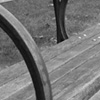 Black and white shot of park benches.